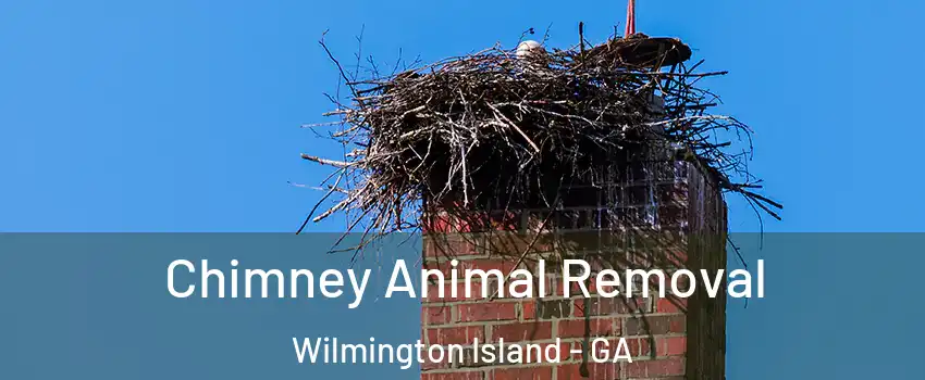  Chimney Animal Removal Wilmington Island - GA