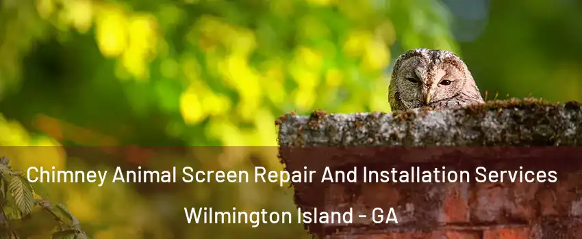  Chimney Animal Screen Repair And Installation Services Wilmington Island - GA