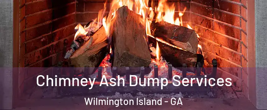  Chimney Ash Dump Services Wilmington Island - GA