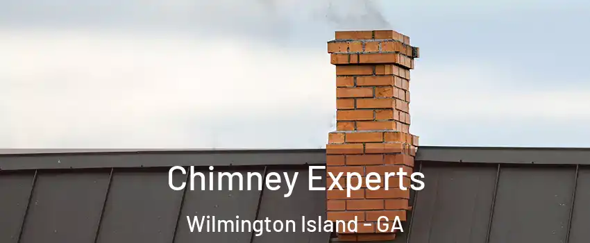  Chimney Experts Wilmington Island - GA