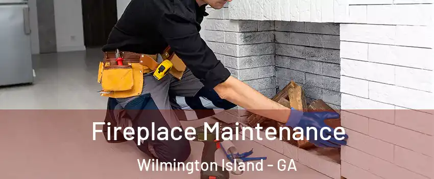  Fireplace Maintenance Wilmington Island - GA
