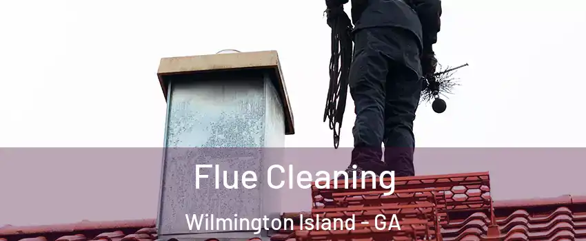  Flue Cleaning Wilmington Island - GA
