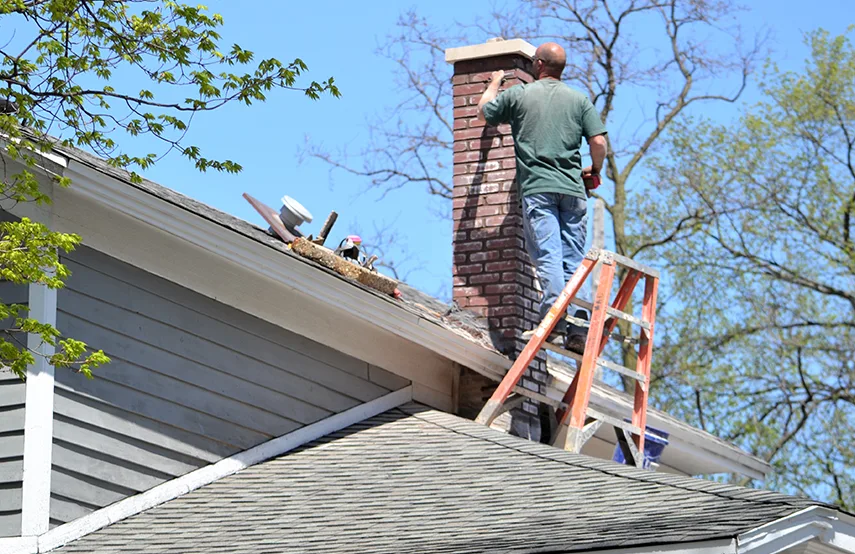 Chimney & Fireplace Inspections Services in Wilmington Island, GA