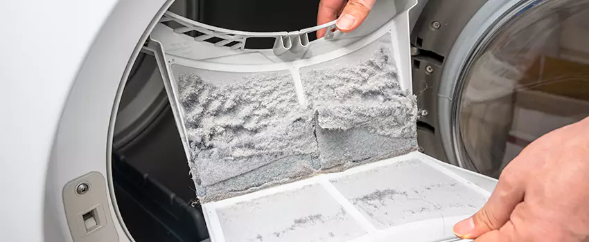 Best Dryer Lint Removal Company in Wilmington Island, Georgia