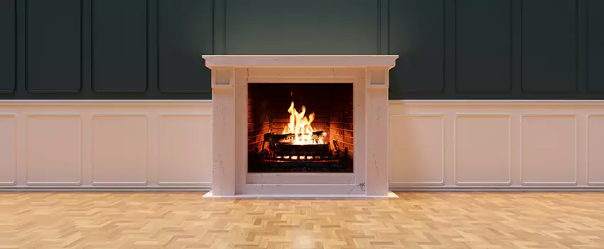 Napoleon Electric Fireplaces Inspection Service in Wilmington Island, Georgia