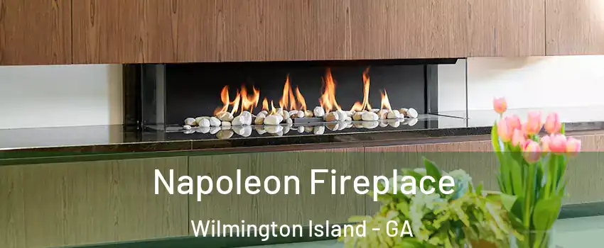  Napoleon Fireplace Wilmington Island - GA